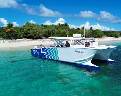 Snorkeling Cruise to Icacos Island