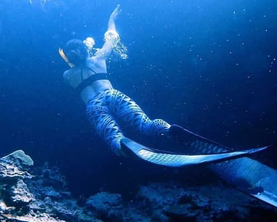 Offshore Snorkeling Adventure in Kailua-Kona