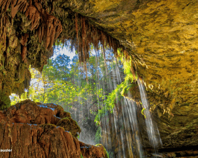 Guided Canyon Tour at Westcave Preserve