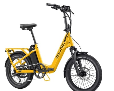 Folding E-Bike Rental in Traverse City