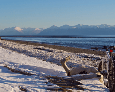 Anchorage Fat Tire Bike Tour