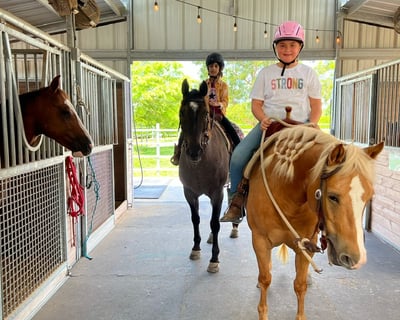 Guided 1-Hour Horseback Riding Tour in Homestead
