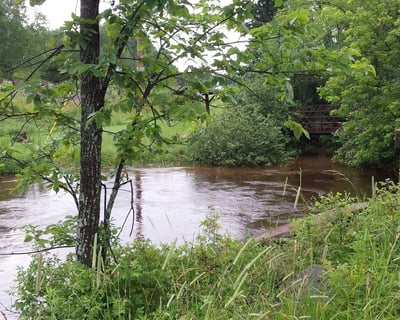 3-Hour Canoe & Kayak Trip in Brule