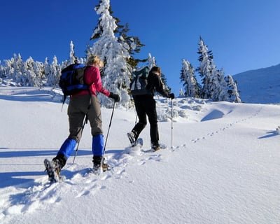 Private Snowshoe Tour in South Lake Tahoe