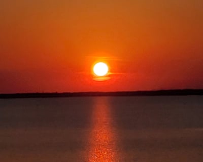 Morehead City Sunset Cruise: Dolphins & Wild Horses