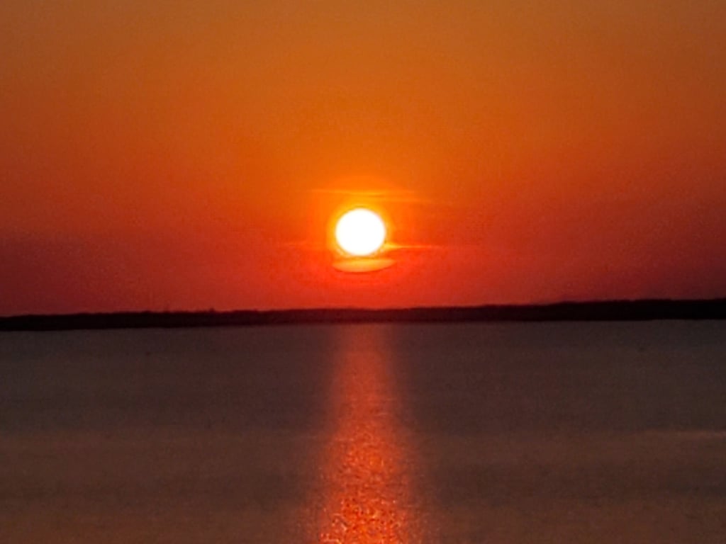 Morehead City Sunset Cruise: Dolphins & Wild Horses