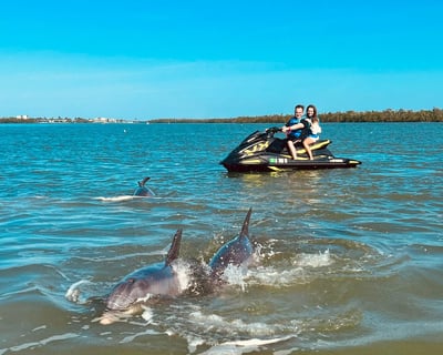 Marco Island Jet Ski Tour with Dolphins