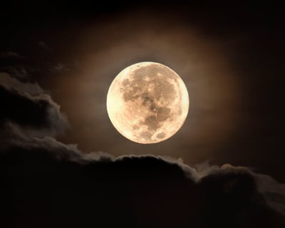2-Hour Full Moon Cruise in Jupiter