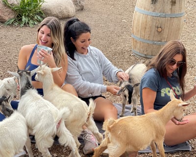 Visit Happy G.O.A.T. Hours in Vail