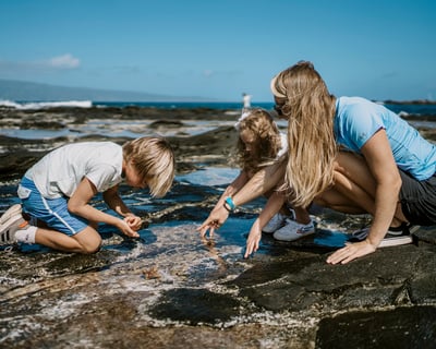 Tide Pool Exploration for Kids at Ambassadors Hale