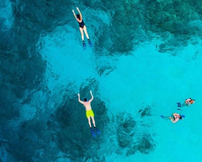 Islamorada Eco Snorkeling Charter