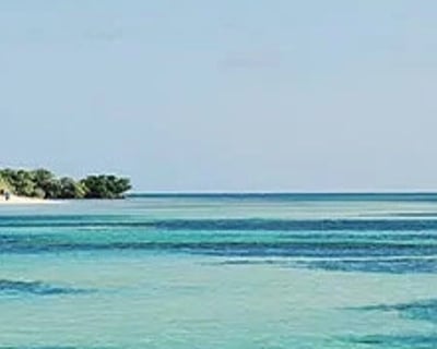 6-Hour Sandbar Charter in Key West
