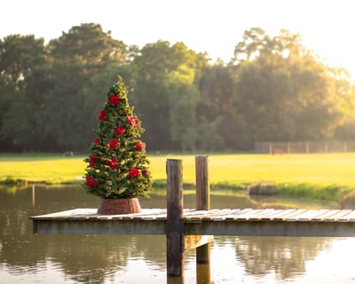 Christmas Photography Session in Tomball