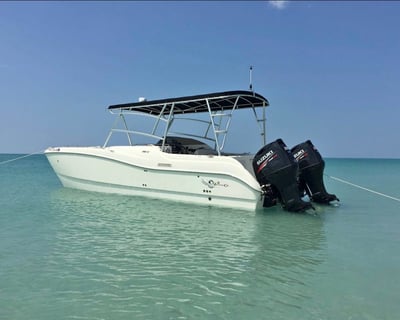 Biscayne Bay Private Speed Boat Tour