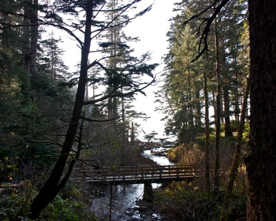 10-Hour Oregon Coast Guided Tour From Portland