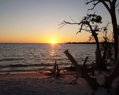 Private Naples Sunset Cruise: Manatees & 10,000 Islands