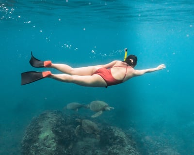 West Oahu Ocean Wildlife Tour with Biologists