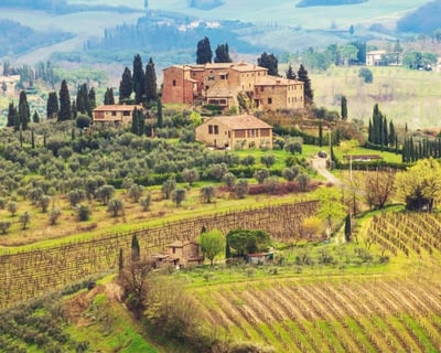 Winery Tour & Tasting in San Gimignano From Florence