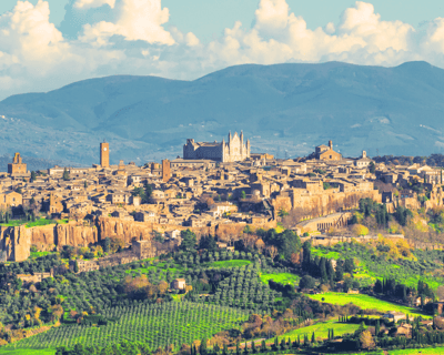 Orvieto Wine & Olive Oil Tour From Rome