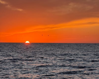 3-Hour Sunset Charter In Marina Del Rey