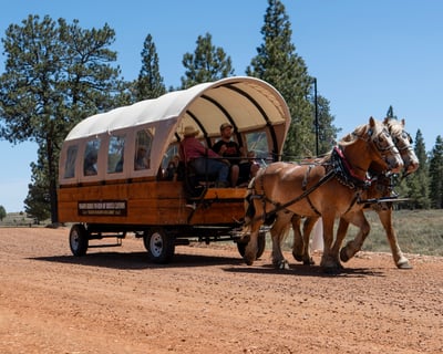 Horse-Drawn Wagon Ride in Bryce Canyon