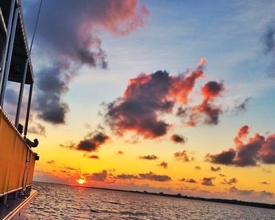 Watch Dolphins at Sunset in San Carlos Bay