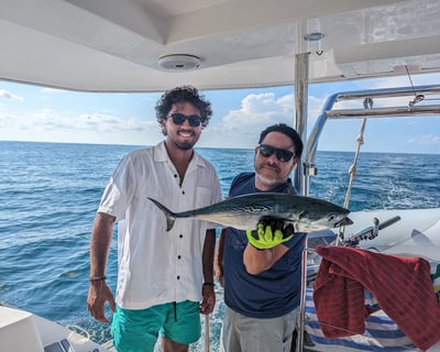 4-Hour Private Sailing Charter to Shell Key