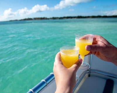 Morning Mimosa Swim Tour in Marathon