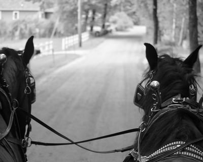 Horse Driving Lesson at Cornerstone Ranch