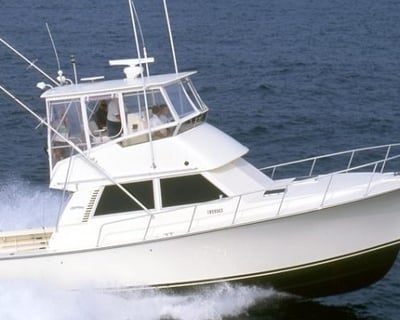 Sunset Striped Bass Fishing Charter in Belmar