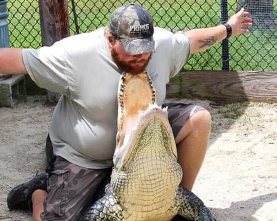 Animal Sanctuary & Alligator Park