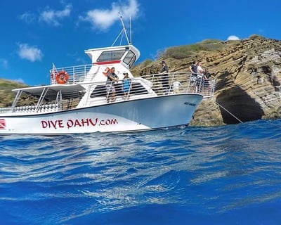 Private Oahu Scuba & Snorkel Charter