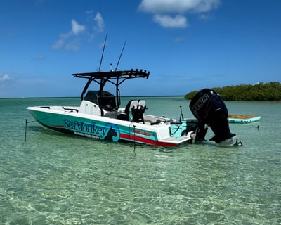 Private Sandbar Charter in Key West