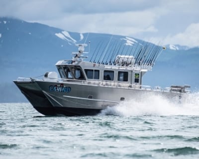 8-Hour Bear Viewing Tour From Homer