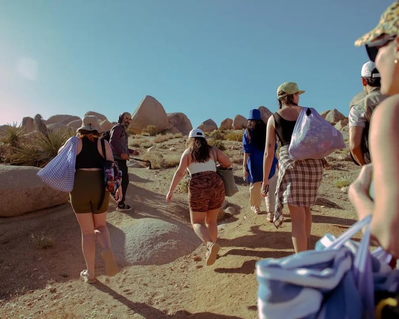 Guided Morning Nature Walk in Joshua Tree National Park