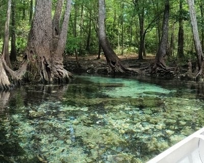 8-Spring Paddle Rental From Poe Springs