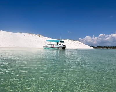Seas the 1/2 Day Pensacola Beach Excursion