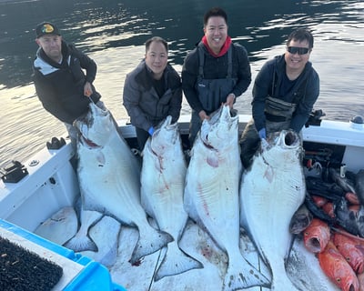 Full-Day Homer Fishing Charter
