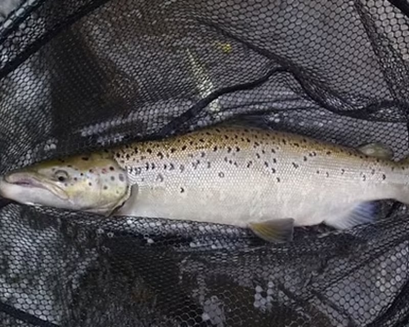 Private Casting Lesson in Vermont