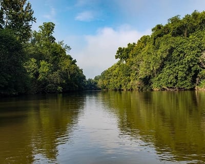 Yadkin River 6.5-Mile Canoe Trip