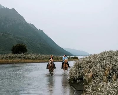 3-Hour Horseback Trail Ride in Knik River Valley