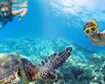 4-Hour Private Powerboat Charter in St. Thomas