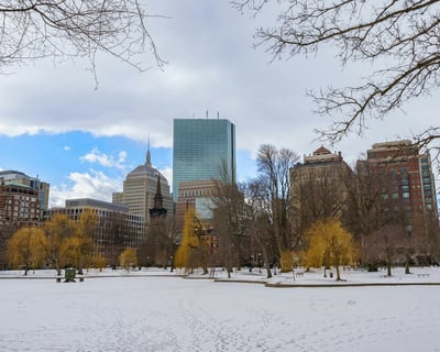 Explore Boston Common & Beacon Hill Movie Sites Walk