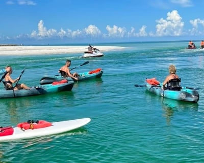 Bonita Springs Kayak Tour: Barrier Island Wildlife