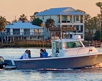 Sunset Cruise in Orange Beach