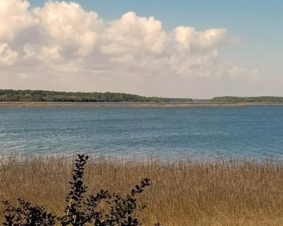 2-Hour Pinckney Island Wildlife Refuge Guided Tour