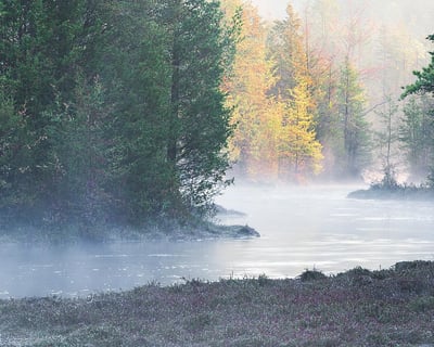 2-Hour Mullica River Paddle From Atsion Lake