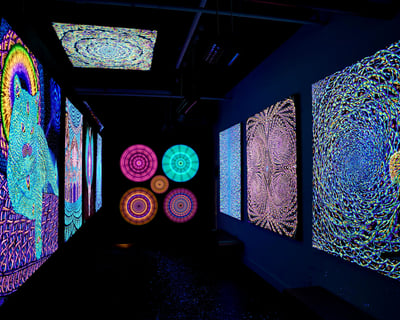 Guided Luminescent Art Tour in Brooklyn