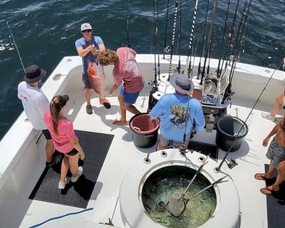 Orange Beach Mackerel Fishing Charter