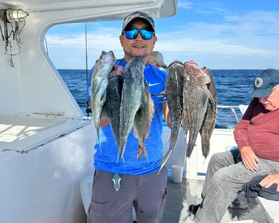 8-Hour Ocean Fishing Trip in Avalon